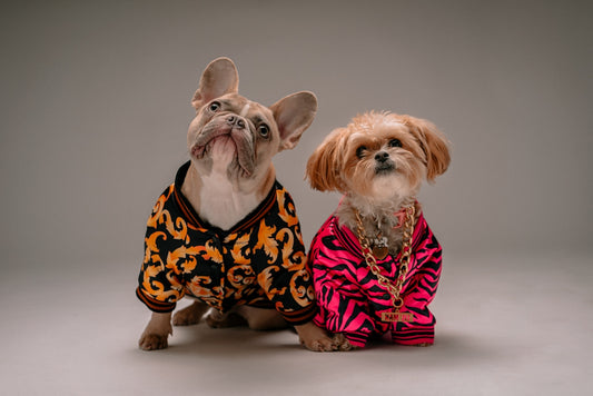 brown and white dog wearing pink and black polka dot dress