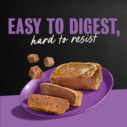 Cesar Classic Loaf in Sauce Wet Dog Food, Meaty Selects, 3.5 oz, 36 Count
