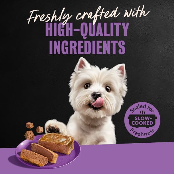 Cesar Classic Loaf in Sauce Wet Dog Food, Meaty Selects, 3.5 oz, 36 Count