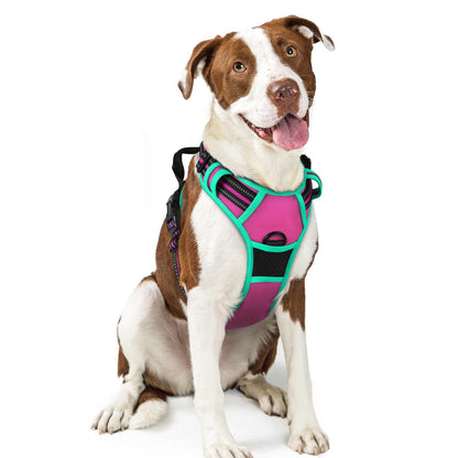 rabbitgoo Dog Harness, No Pull for Large Dogs with 2 Leash Clips, Pet Vest