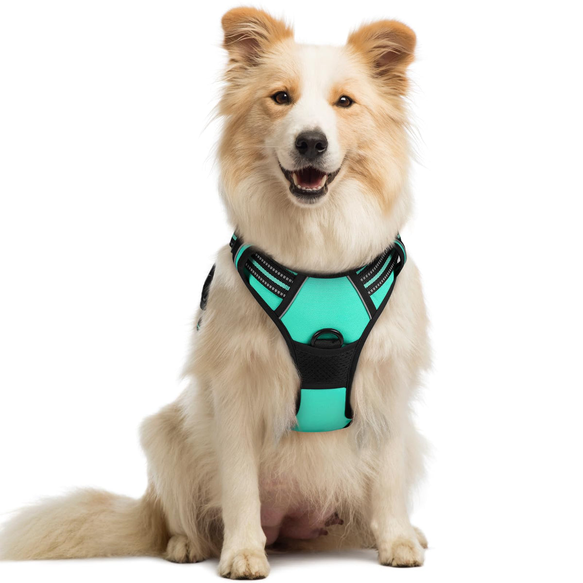 rabbitgoo Dog Harness, No Pull for Large Dogs with 2 Leash Clips, Pet Vest