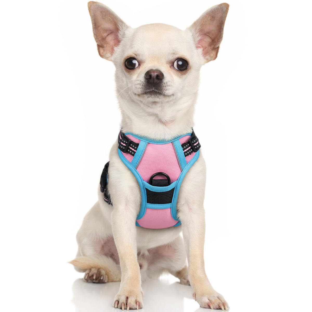 rabbitgoo Dog Harness, No Pull for Large Dogs with 2 Leash Clips, Pet Vest