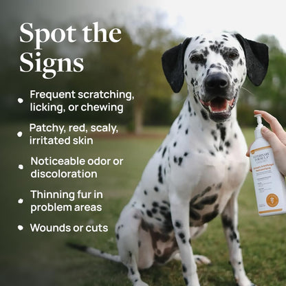 Veterinary Formula Clinical Care Antiseptic & Antifungal Shampoo + Spray