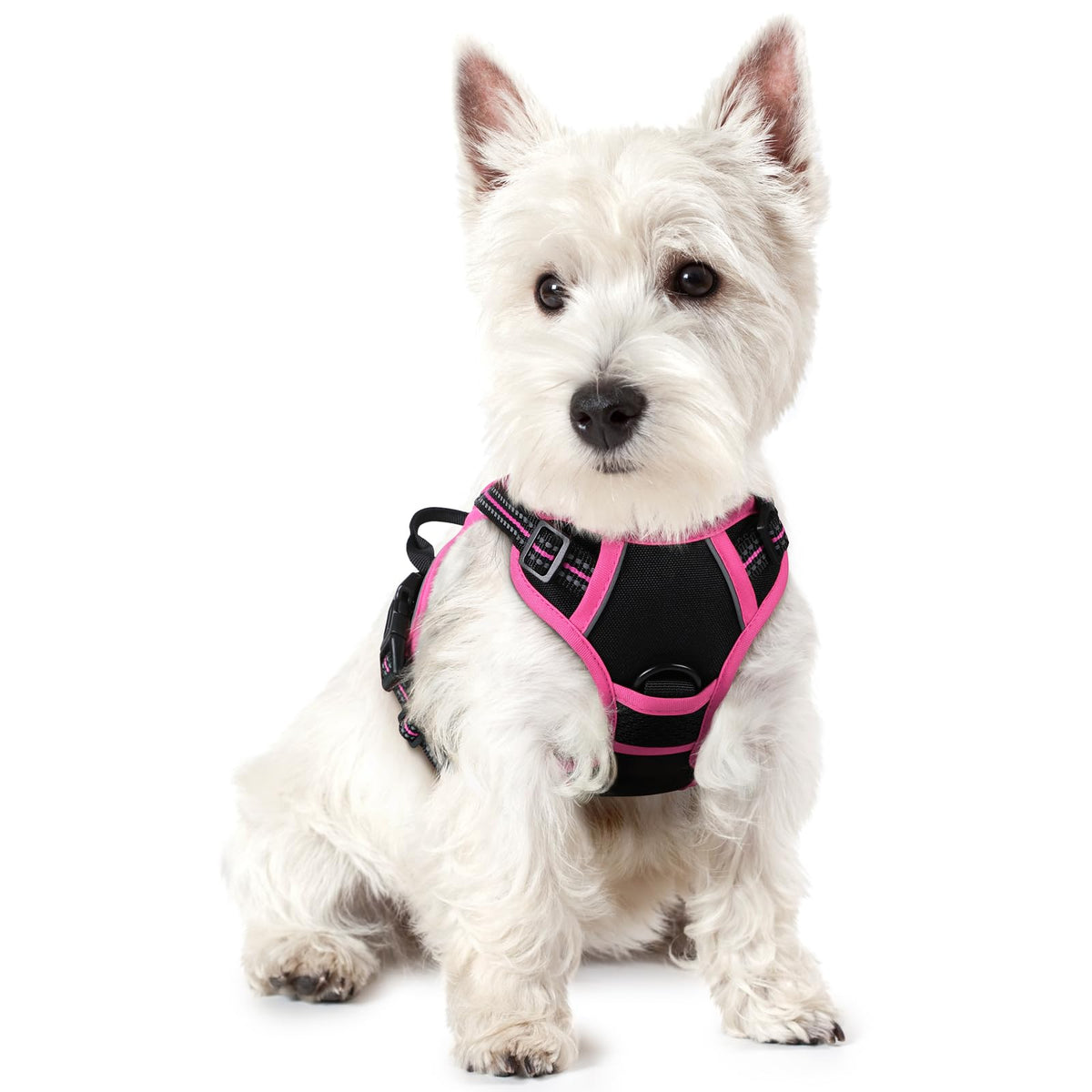 rabbitgoo Dog Harness, No Pull for Large Dogs with 2 Leash Clips, Pet Vest