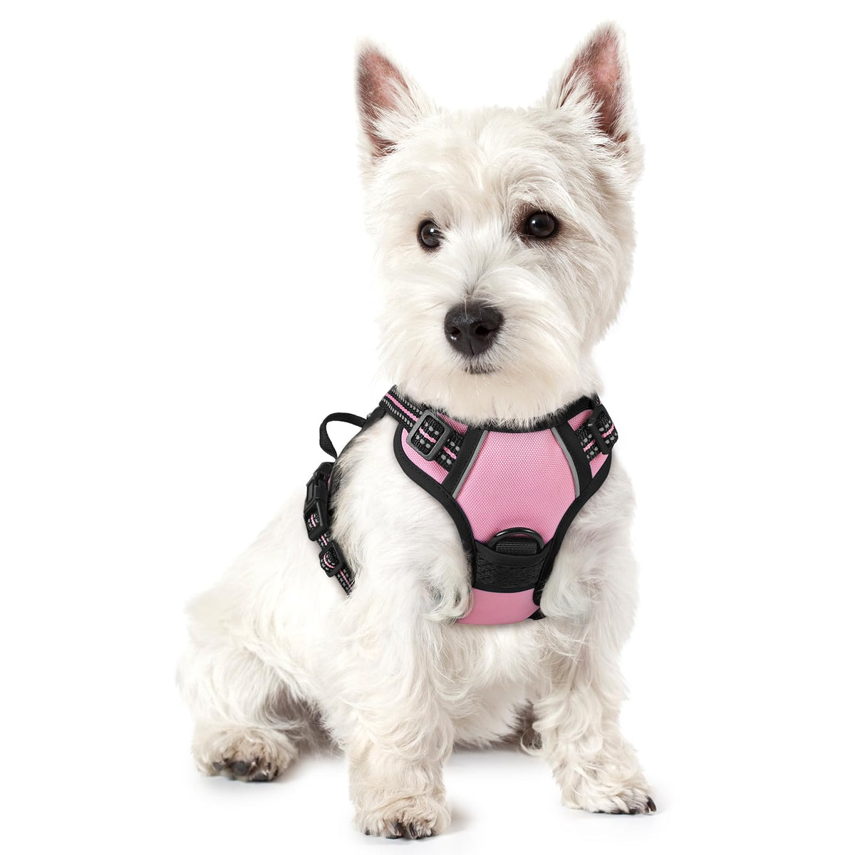 rabbitgoo Dog Harness, No Pull for Large Dogs with 2 Leash Clips, Pet Vest