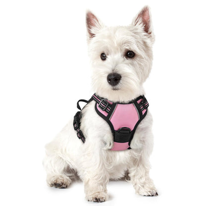rabbitgoo Dog Harness, No Pull for Large Dogs with 2 Leash Clips, Pet Vest