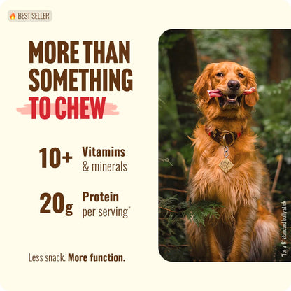 Natural Farm Odor-Free Bully Sticks (4-8”, 16oz) ALL-NATURAL Long-Lasting Chews, 100% Beef Pizzle, Grass-Fed, Grain-Free, Hormone-Free, Protein for Muscle Development & Energy, Perfect For Medium Dogs