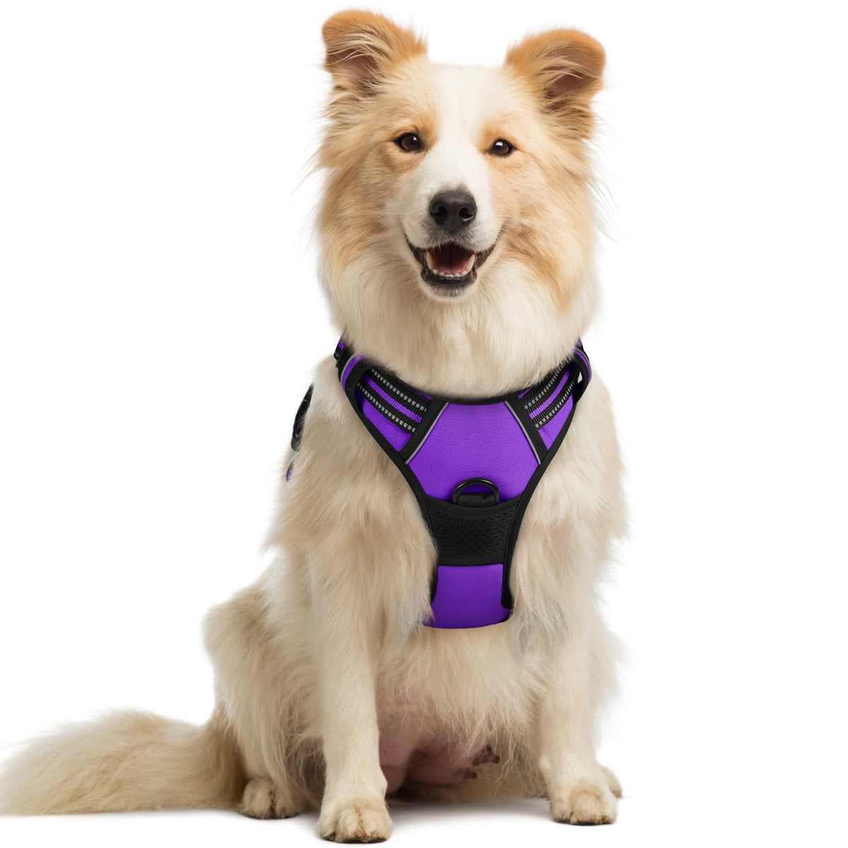 rabbitgoo Dog Harness, No Pull for Large Dogs with 2 Leash Clips, Pet Vest