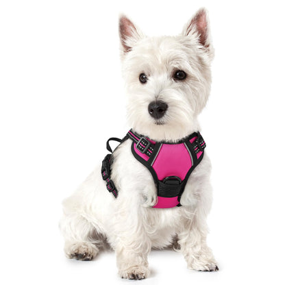 rabbitgoo Dog Harness, No Pull for Large Dogs with 2 Leash Clips, Pet Vest