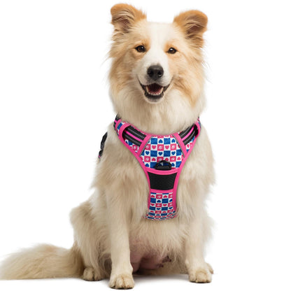rabbitgoo Dog Harness, No Pull for Large Dogs with 2 Leash Clips, Pet Vest