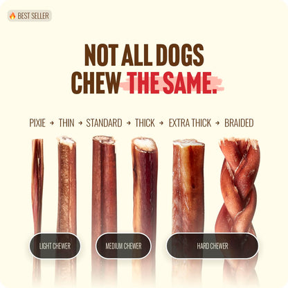 Natural Farm Odor-Free Bully Sticks (4-8”, 16oz) ALL-NATURAL Long-Lasting Chews, 100% Beef Pizzle, Grass-Fed, Grain-Free, Hormone-Free, Protein for Muscle Development & Energy, Perfect For Medium Dogs