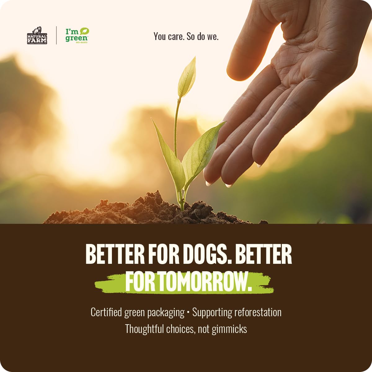 Natural Farm Odor-Free Bully Sticks (4-8”, 16oz) ALL-NATURAL Long-Lasting Chews, 100% Beef Pizzle, Grass-Fed, Grain-Free, Hormone-Free, Protein for Muscle Development & Energy, Perfect For Medium Dogs