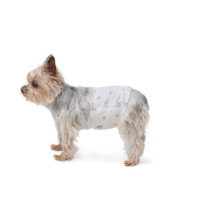 Amazon Basics Absorbent, Leakproof Male Dog Wrap Disposable Diapers with Wetness Indicator, Breathable, Small, White, 50-Pack