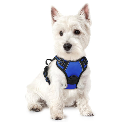 rabbitgoo Dog Harness, No Pull for Large Dogs with 2 Leash Clips, Pet Vest