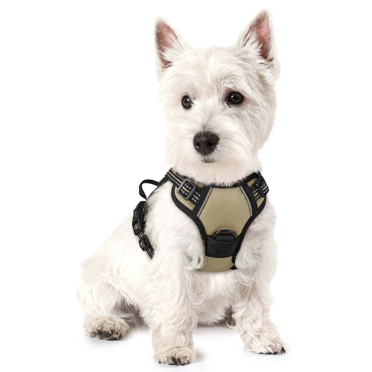 rabbitgoo Dog Harness, No Pull for Large Dogs with 2 Leash Clips, Pet Vest