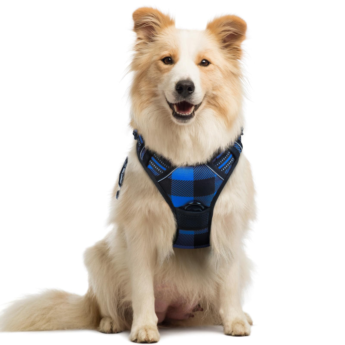 rabbitgoo Dog Harness, No Pull for Large Dogs with 2 Leash Clips, Pet Vest