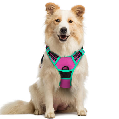 rabbitgoo Dog Harness, No Pull for Large Dogs with 2 Leash Clips, Pet Vest