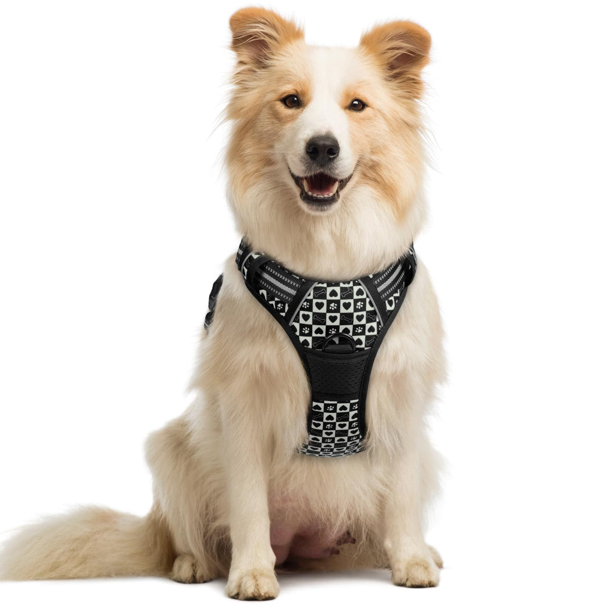 rabbitgoo Dog Harness, No Pull for Large Dogs with 2 Leash Clips, Pet Vest