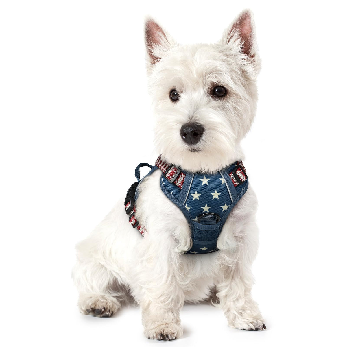 rabbitgoo Dog Harness, No Pull for Large Dogs with 2 Leash Clips, Pet Vest