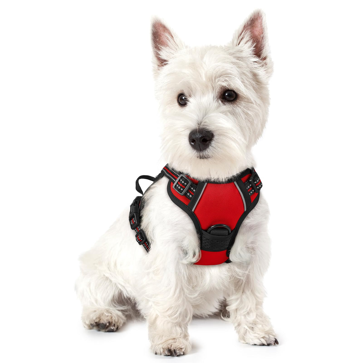 rabbitgoo Dog Harness, No Pull for Large Dogs with 2 Leash Clips, Pet Vest