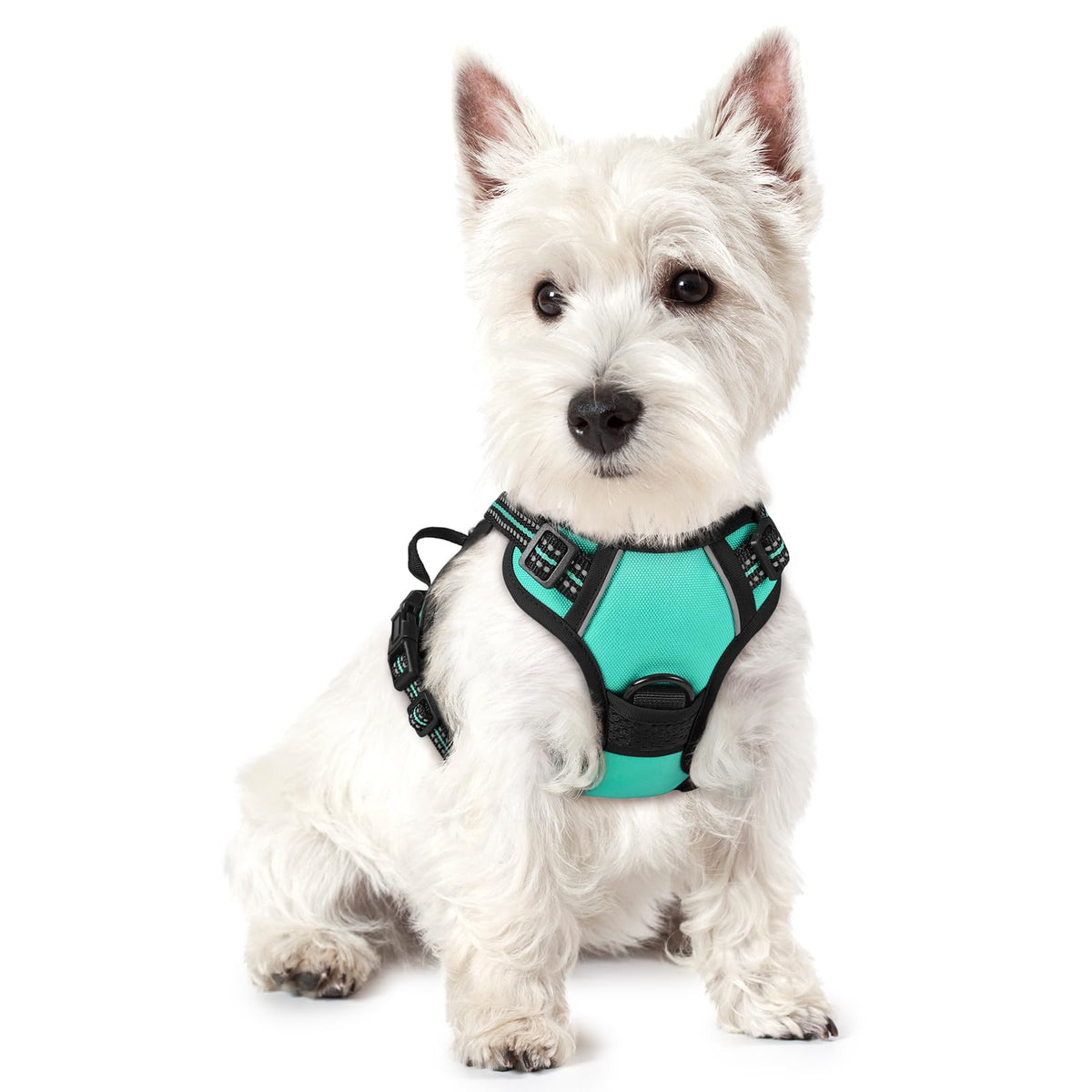rabbitgoo Dog Harness, No Pull for Large Dogs with 2 Leash Clips, Pet Vest