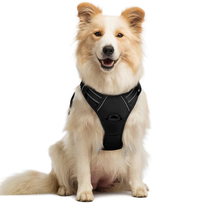rabbitgoo Dog Harness, No Pull for Large Dogs with 2 Leash Clips, Pet Vest