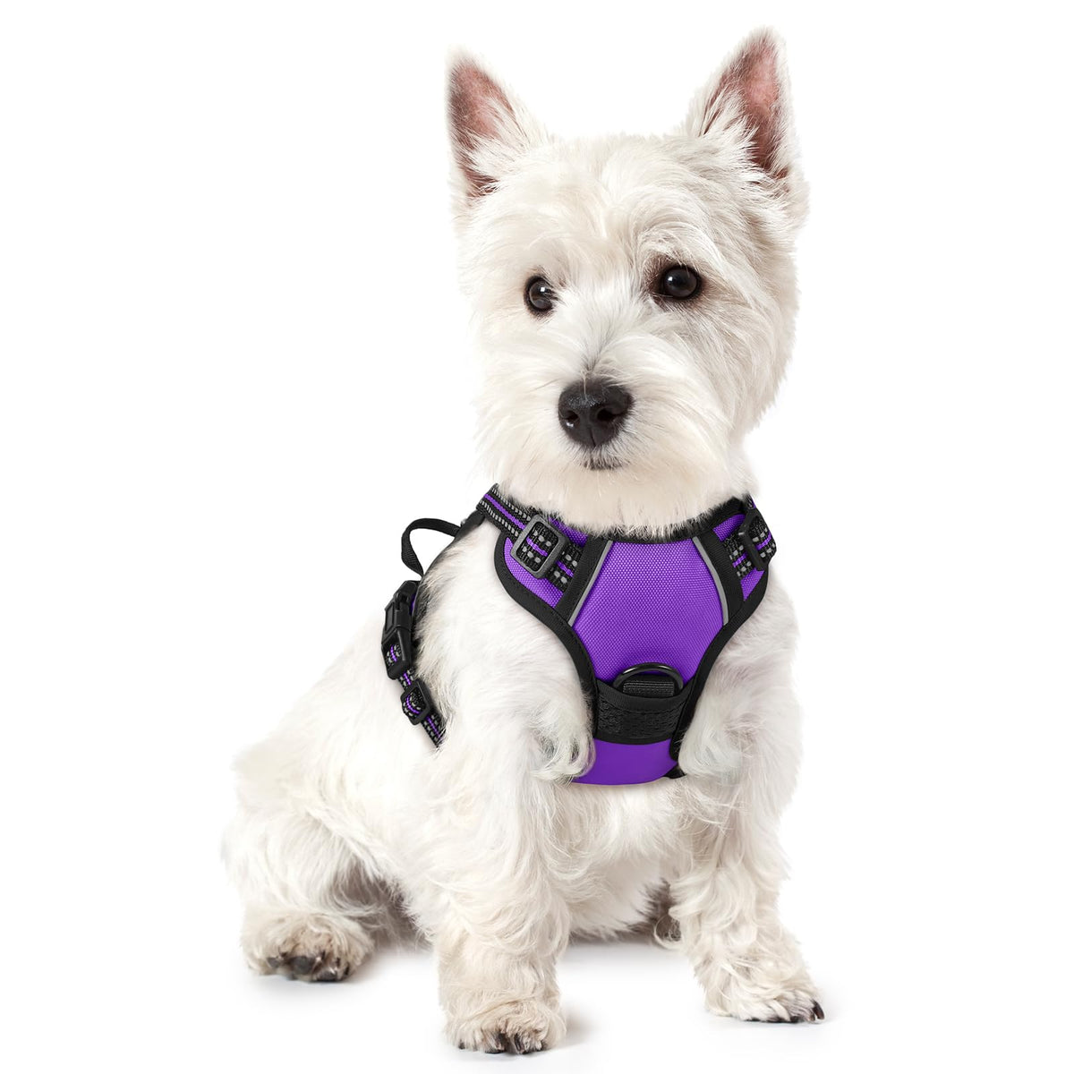 rabbitgoo Dog Harness, No Pull for Large Dogs with 2 Leash Clips, Pet Vest