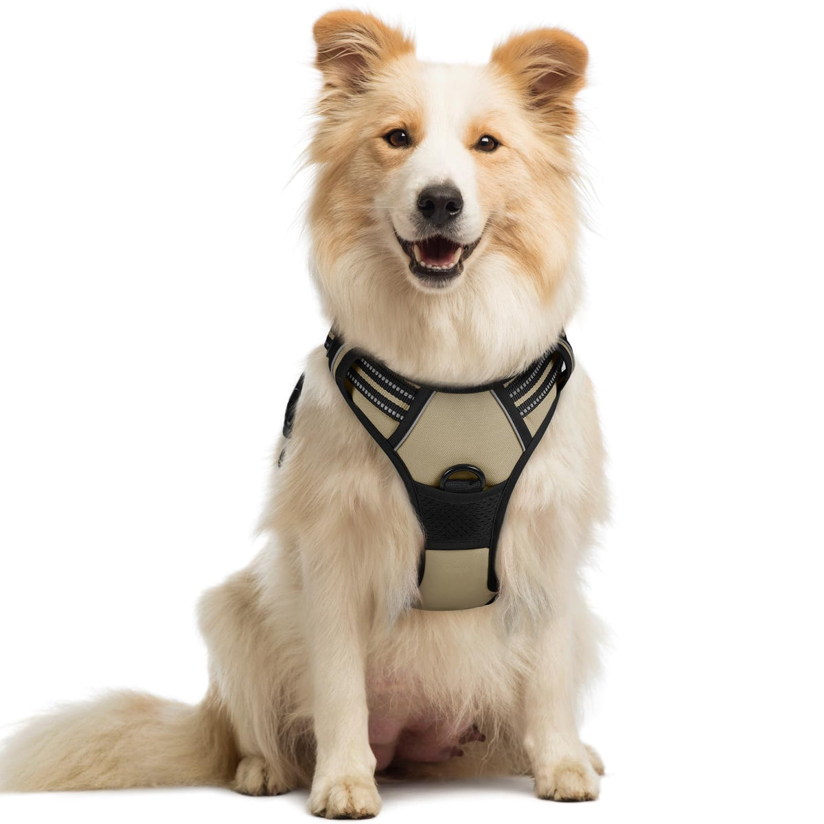 rabbitgoo Dog Harness, No Pull for Large Dogs with 2 Leash Clips, Pet Vest