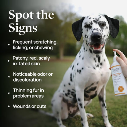 Veterinary Formula Clinical Care Antiseptic & Antifungal Shampoo + Spray