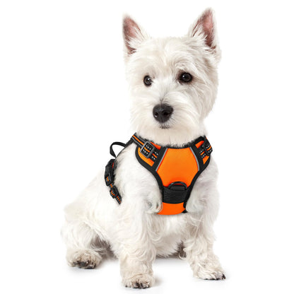 rabbitgoo Dog Harness, No Pull for Large Dogs with 2 Leash Clips, Pet Vest
