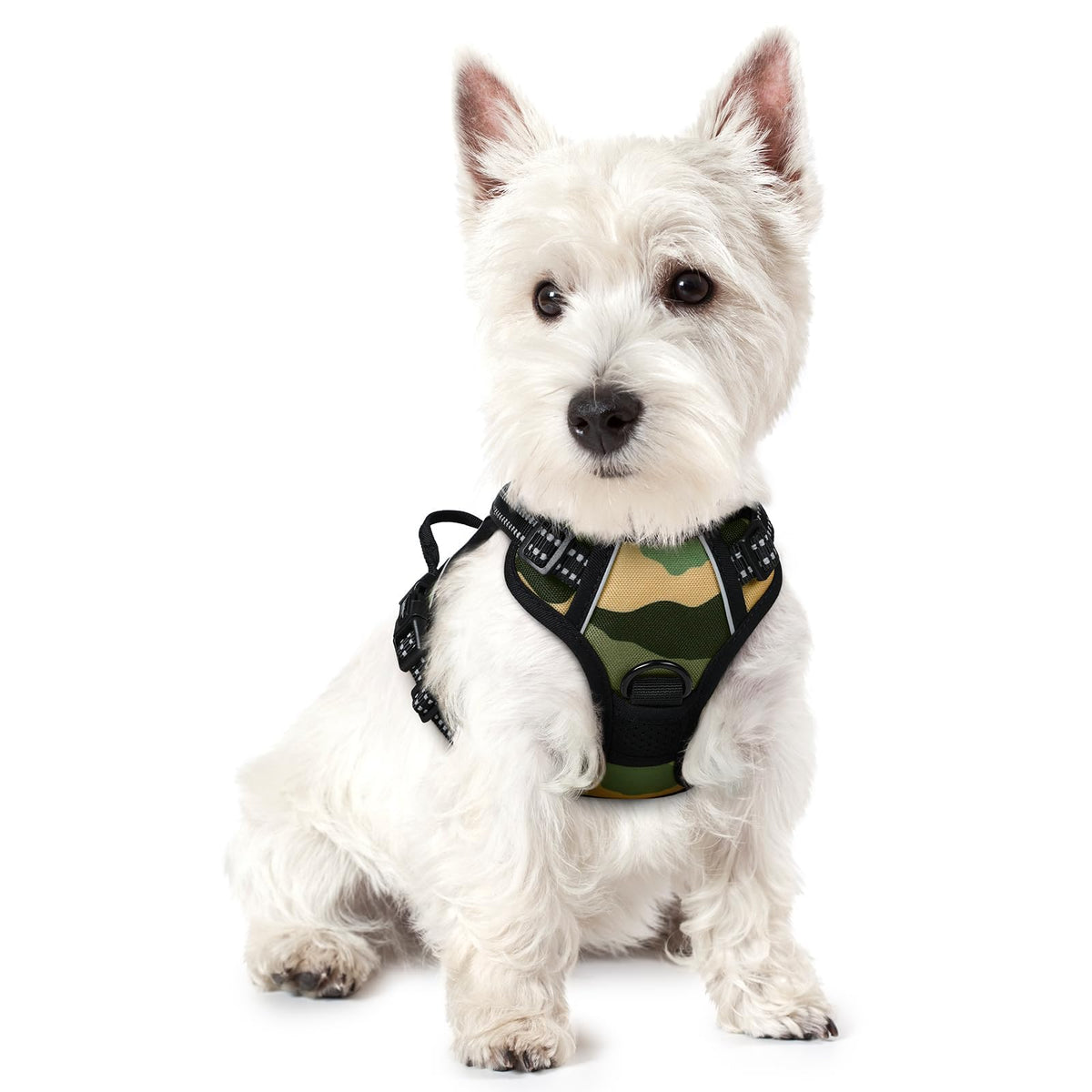 rabbitgoo Dog Harness, No Pull for Large Dogs with 2 Leash Clips, Pet Vest
