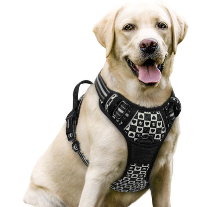 rabbitgoo Dog Harness, No Pull for Large Dogs with 2 Leash Clips, Pet Vest