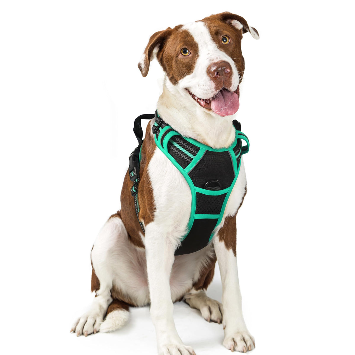 rabbitgoo Dog Harness, No Pull for Large Dogs with 2 Leash Clips, Pet Vest