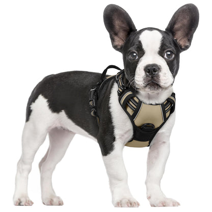 rabbitgoo Dog Harness, No Pull for Large Dogs with 2 Leash Clips, Pet Vest