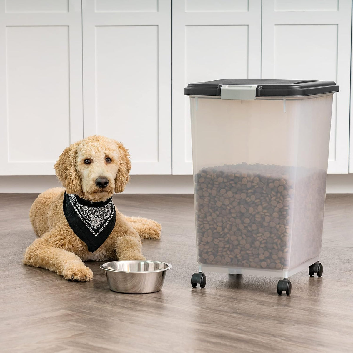 IRIS USA Dog Food Storage Container, Up to 10 lbs, Clear/Gray, Made in USA