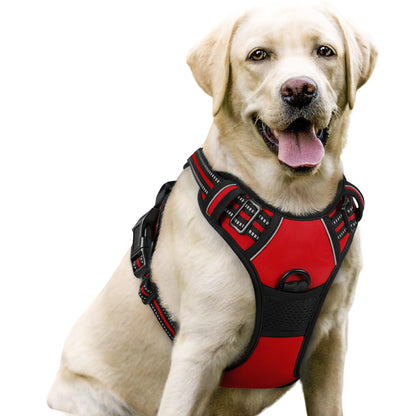 rabbitgoo Dog Harness, No Pull for Large Dogs with 2 Leash Clips, Pet Vest