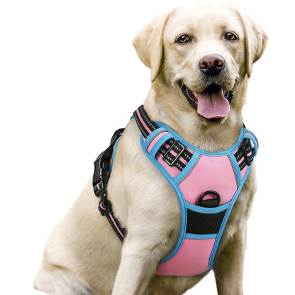rabbitgoo Dog Harness, No Pull for Large Dogs with 2 Leash Clips, Pet Vest