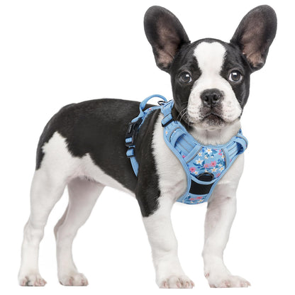 rabbitgoo Dog Harness, No Pull for Large Dogs with 2 Leash Clips, Pet Vest