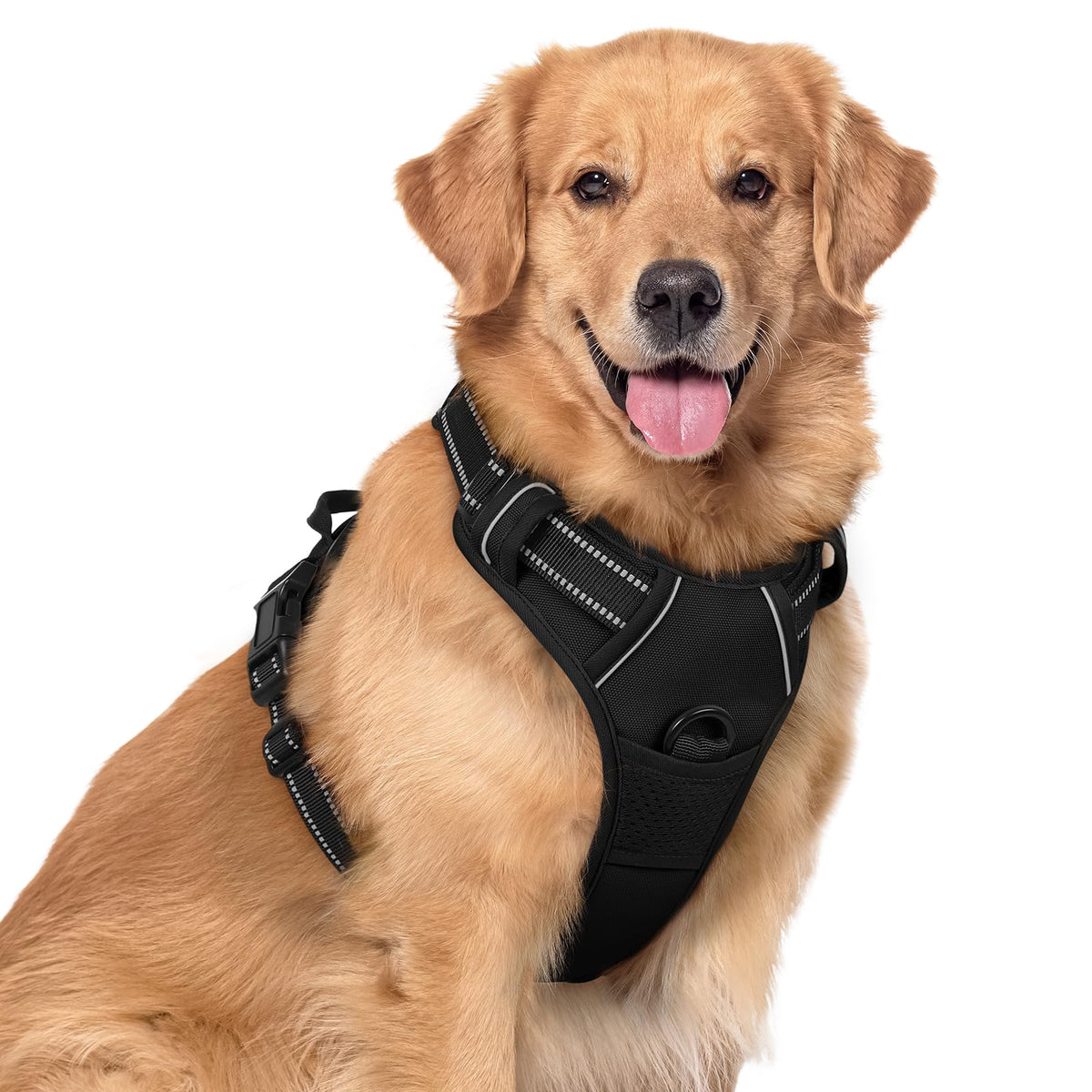 rabbitgoo Dog Harness, No Pull for Large Dogs with 2 Leash Clips, Pet Vest