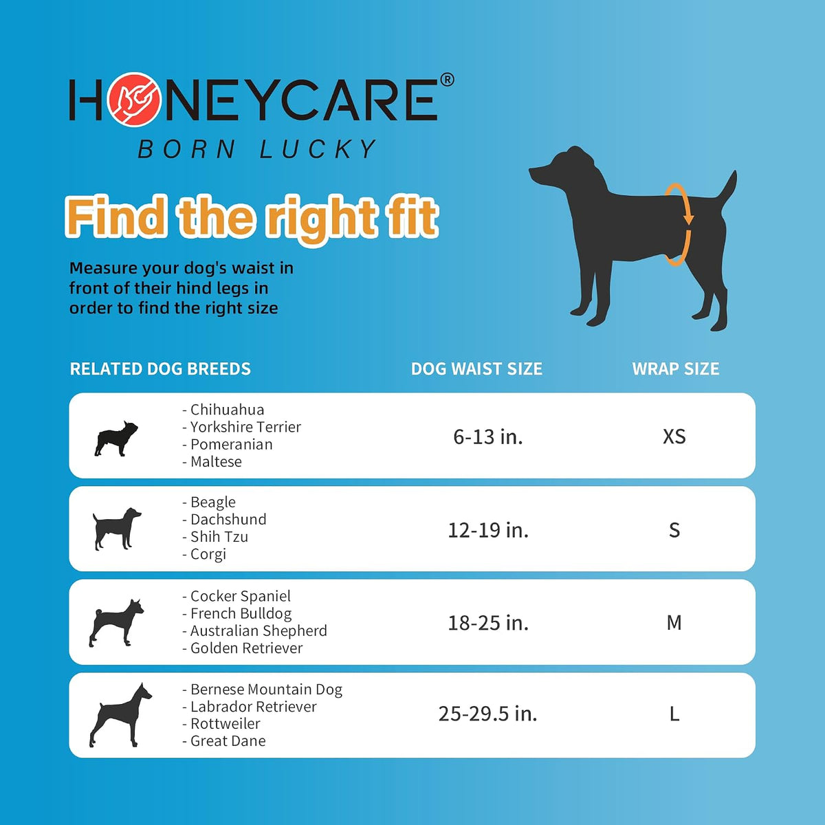 HONEY CARE All-Absorb A24 Male Dog Wrap, 50 Count, Large