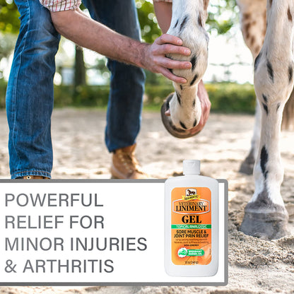 Absorbine Veterinary Liniment Gel, Combo 12 oz Value Size +3 oz Travel Size