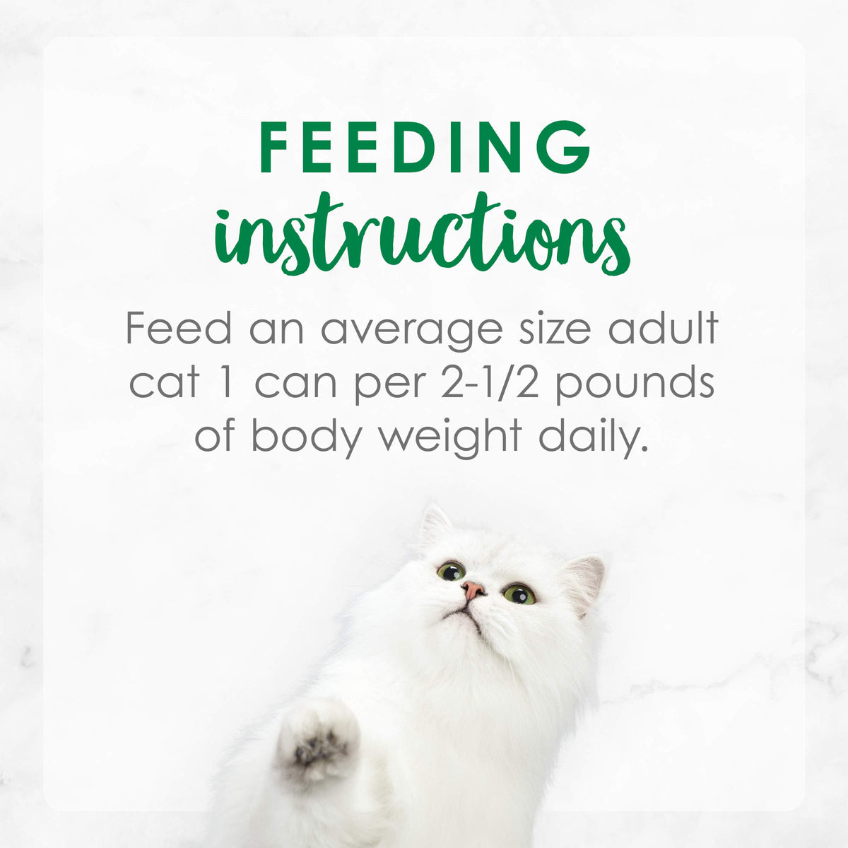 Purina Fancy Feast Appetizers and Broths Variety Pack (2 Pack) 24 Count