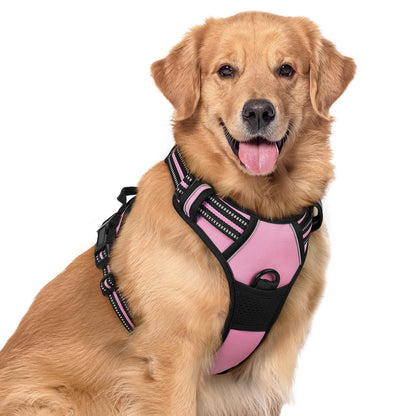 rabbitgoo Dog Harness, No Pull for Large Dogs with 2 Leash Clips, Pet Vest