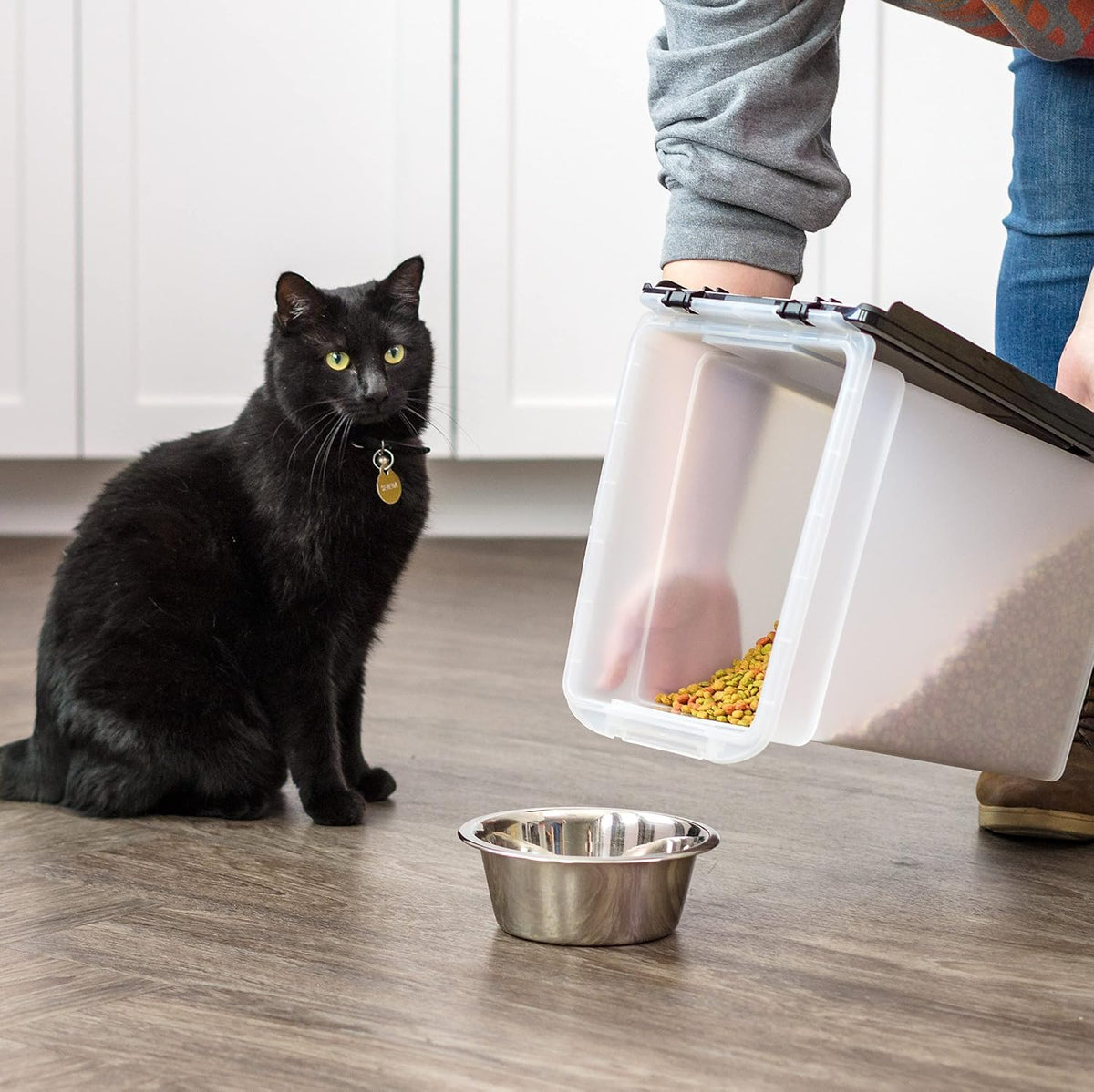 IRIS USA Dog Food Storage Container, Up to 10 lbs, Clear/Gray, Made in USA