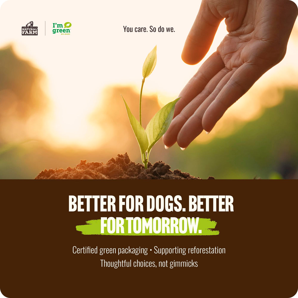 Natural Farm Odor-Free Bully Sticks (4-8”, 16oz) ALL-NATURAL Long-Lasting Chews, 100% Beef Pizzle, Grass-Fed, Grain-Free, Hormone-Free, Protein for Muscle Development & Energy, Perfect For Medium Dogs