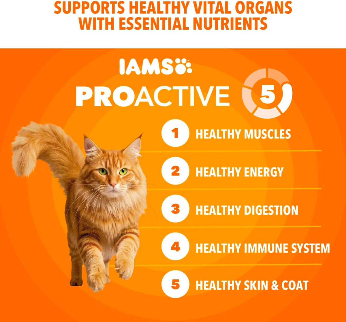 IAMS Proactive Health Healthy Adult Dry Cat Food, Chicken, 22 lb