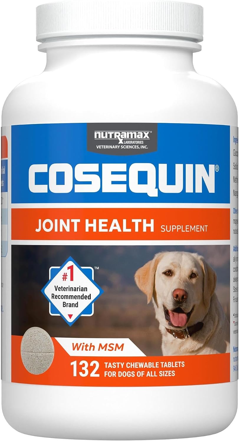 Nutramax Cosequin Joint Supplement for Dogs, MSM+HA, Chew Tablets, 250ct