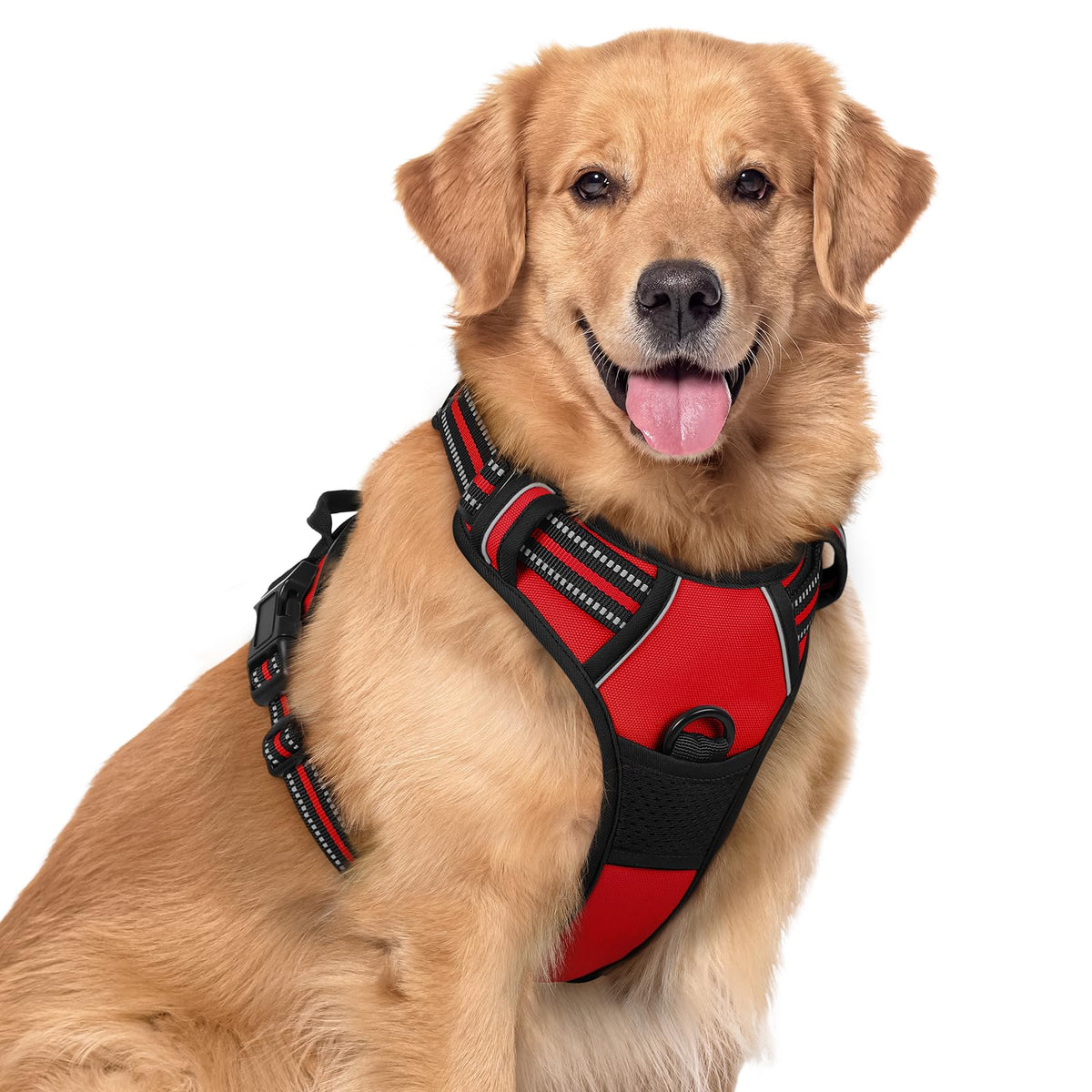 rabbitgoo Dog Harness, No Pull for Large Dogs with 2 Leash Clips, Pet Vest