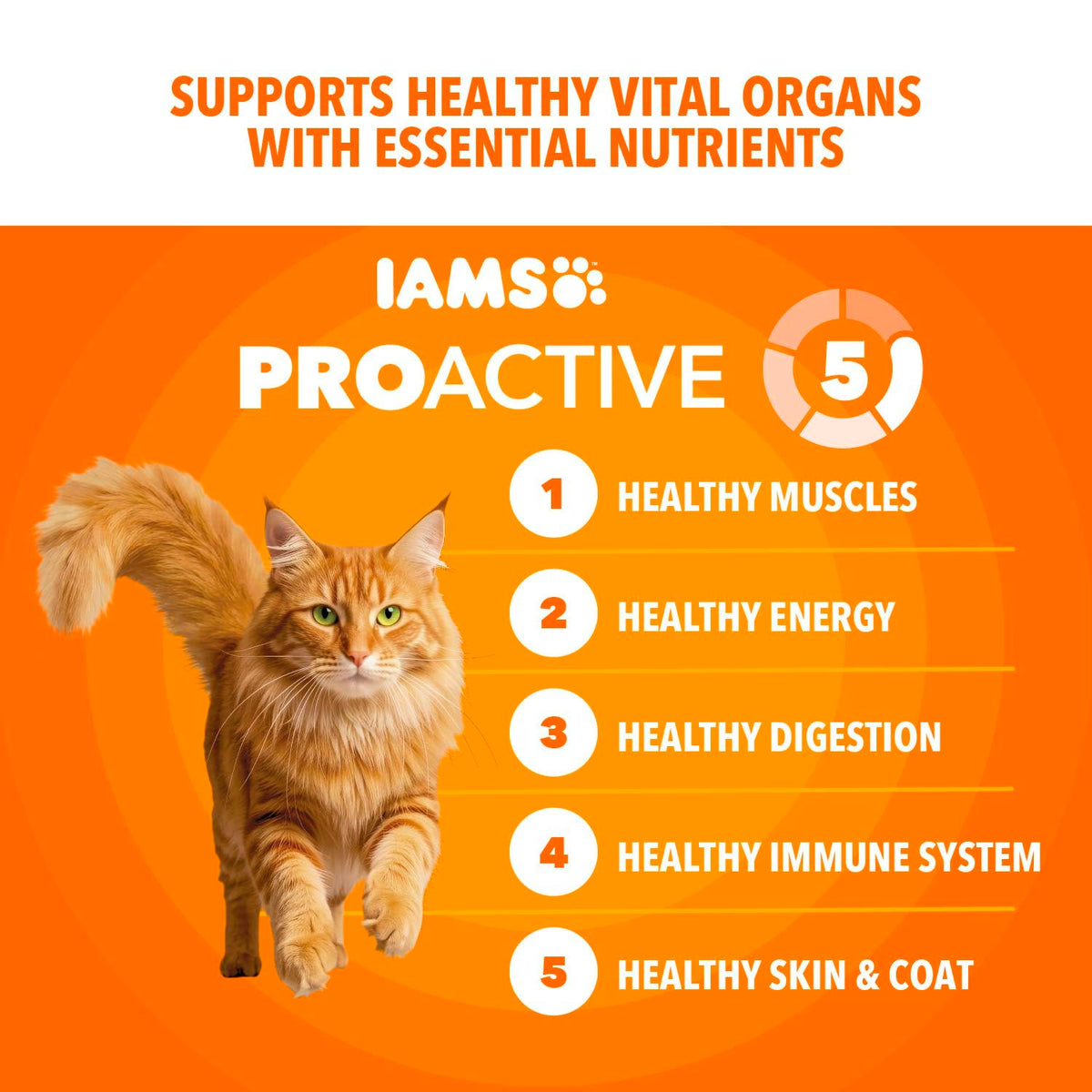 IAMS Proactive Health Healthy Adult Dry Cat Food, Chicken, 22 lb