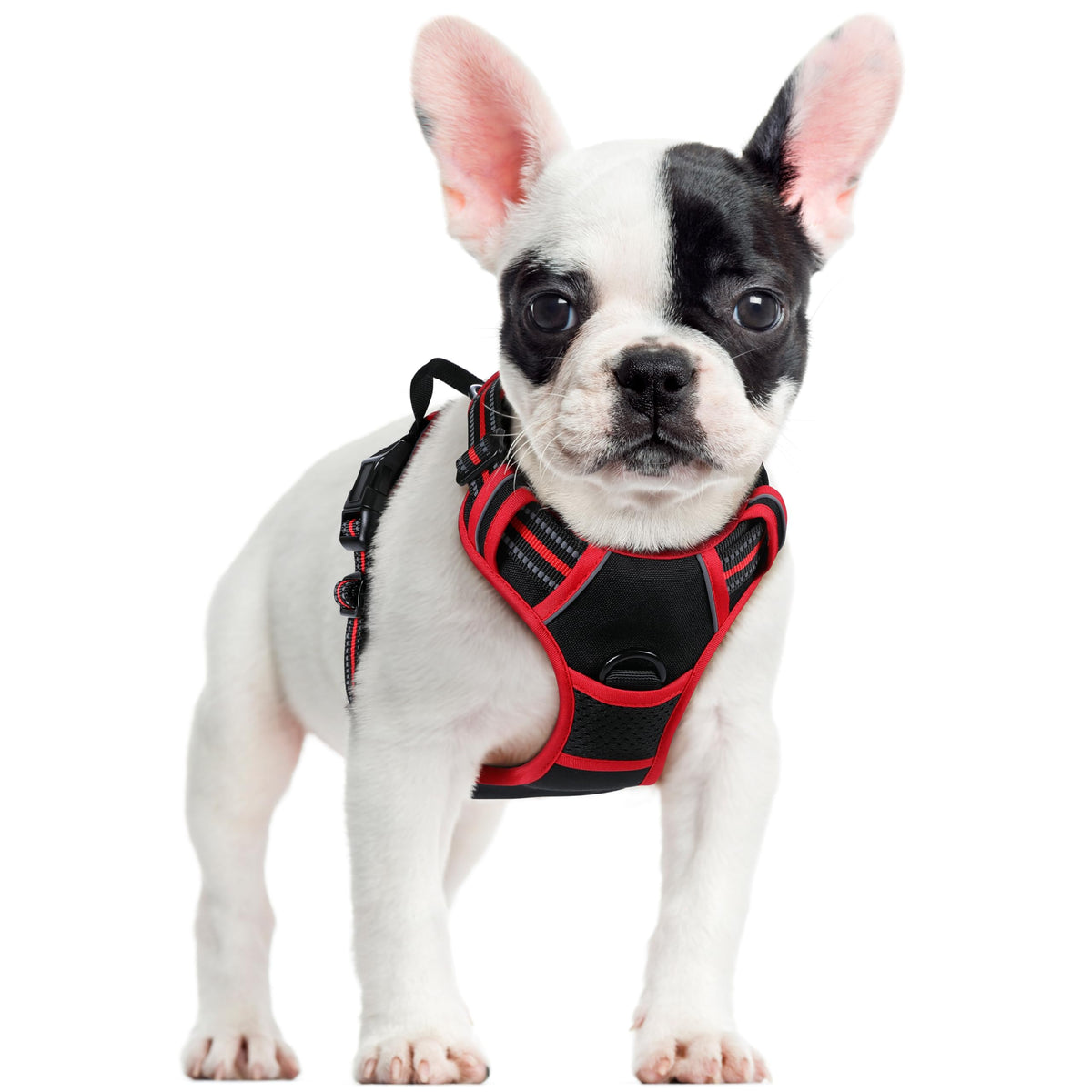 rabbitgoo Dog Harness, No Pull for Large Dogs with 2 Leash Clips, Pet Vest